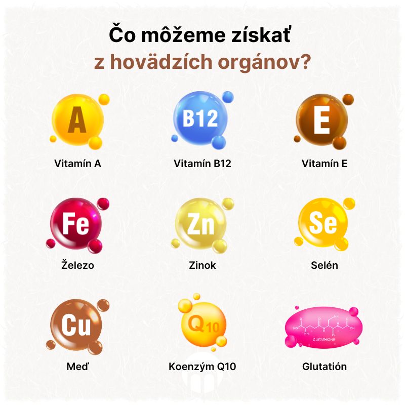 (Slovenčina) Co můžeme získat  z hovězích orgánů